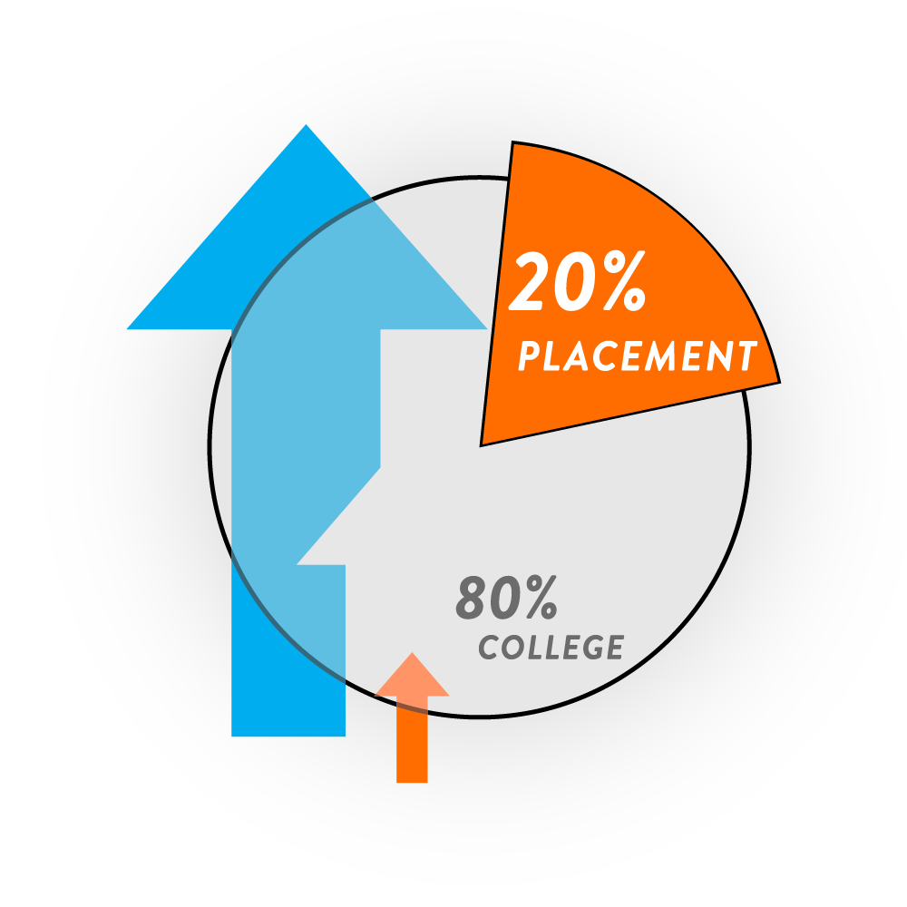 Pie chart showing time in placement vs time in college.