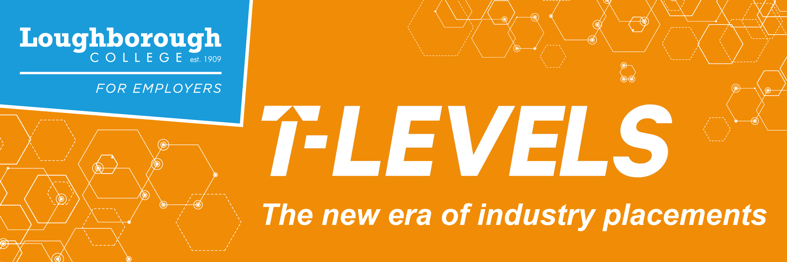 T Levels Banner