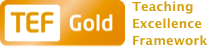 TEF Silver Logo